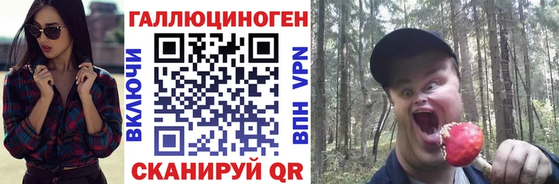 сколько стоит Черногорск Псилоцибиновые грибы Magic Shrooms