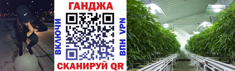 наркотики  Черногорск  Марихуана Amnesia 